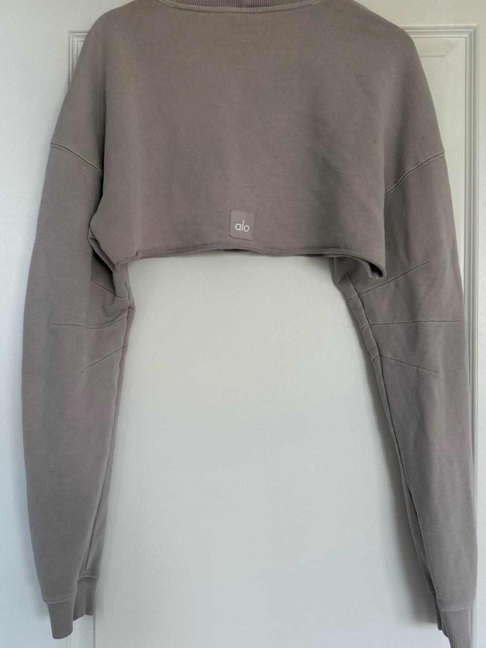 ALO Yoga Cropped Crewneck Sweater in Taupe